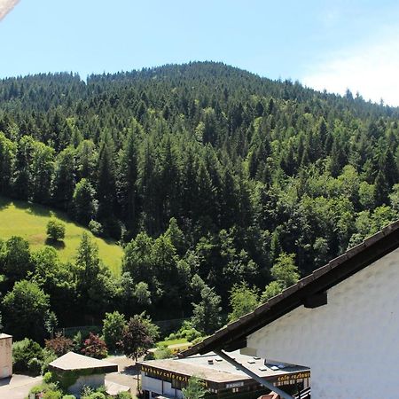 Ferienwohnung Schwarzwaldblick Bad Rippoldsau-Schapbach Экстерьер фото