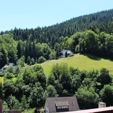 Ferienwohnung Schwarzwaldblick Bad Rippoldsau-Schapbach Экстерьер фото