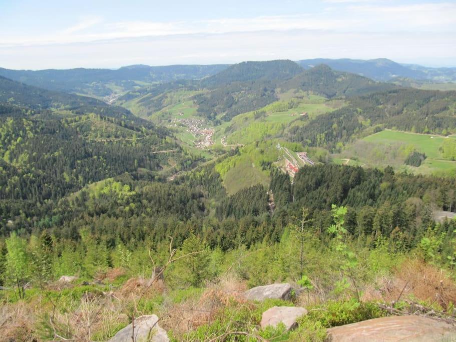 Ferienwohnung Schwarzwaldblick Bad Rippoldsau-Schapbach Экстерьер фото