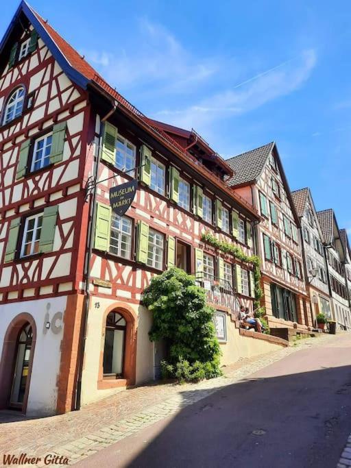 Ferienwohnung Schwarzwaldblick Bad Rippoldsau-Schapbach Экстерьер фото