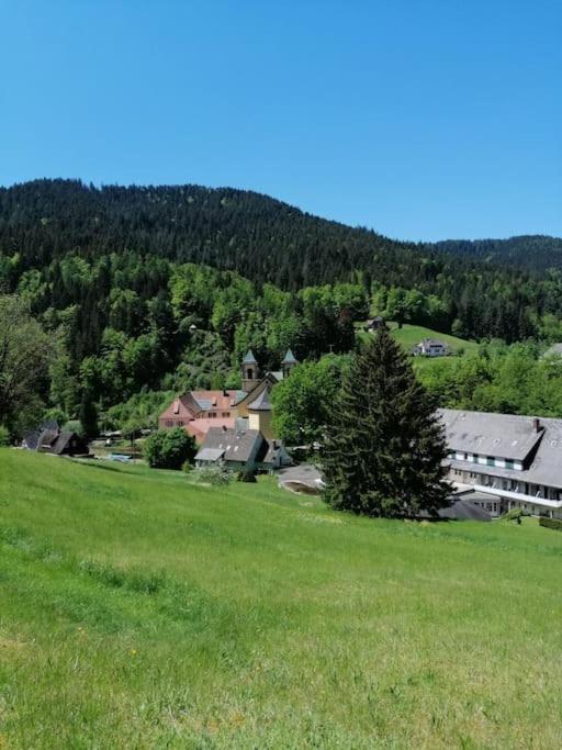 Ferienwohnung Schwarzwaldblick Bad Rippoldsau-Schapbach Экстерьер фото
