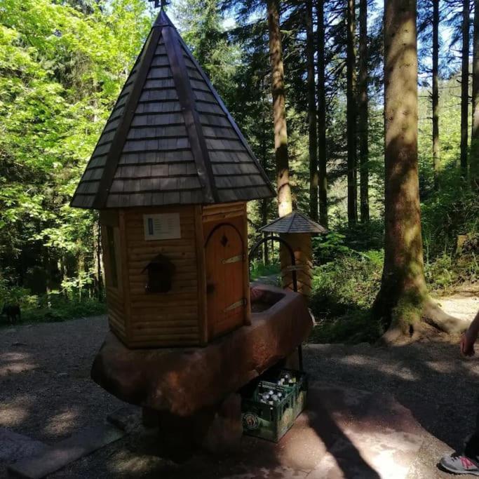 Ferienwohnung Schwarzwaldblick Bad Rippoldsau-Schapbach Экстерьер фото