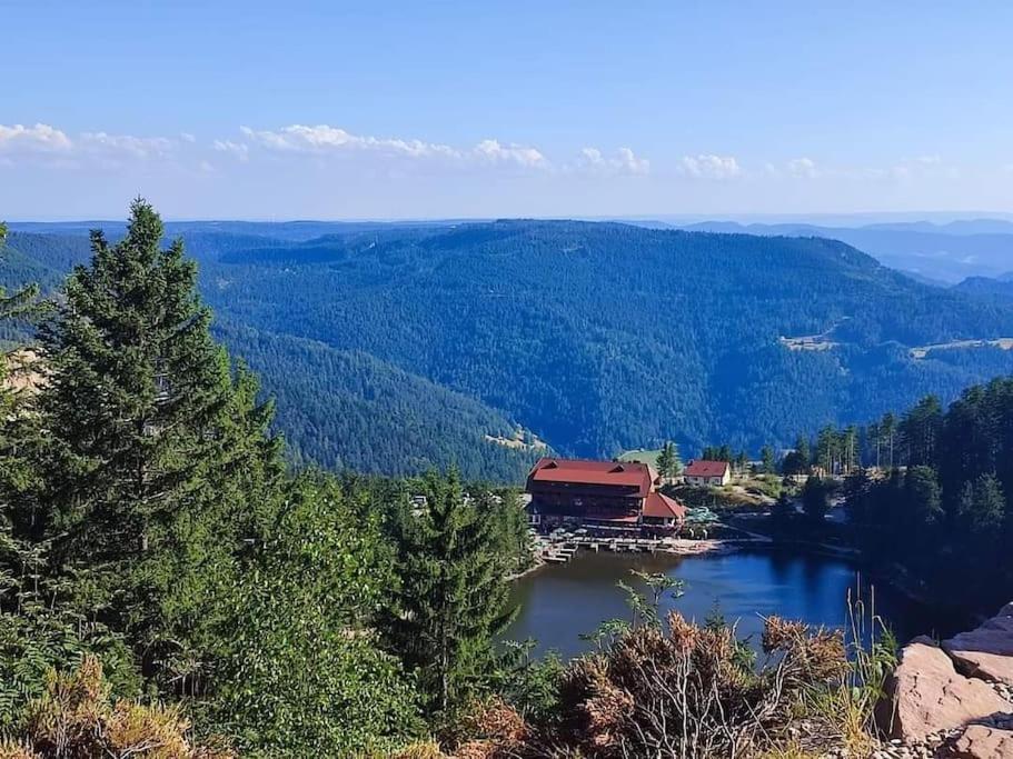 Ferienwohnung Schwarzwaldblick Bad Rippoldsau-Schapbach Экстерьер фото